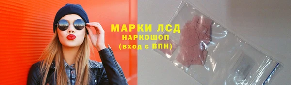 стафф Струнино
