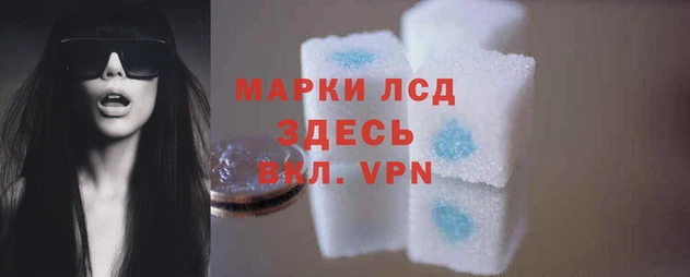 стафф Струнино