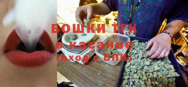 стафф Струнино
