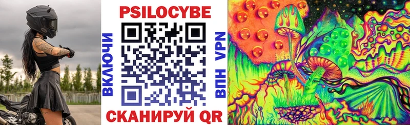 Купить закладки  Гаджиево  Галлюциногенные грибы Psilocybine cubensis 